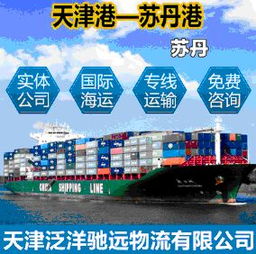 msc船国际物流海运商务服务